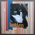 kattenbus
