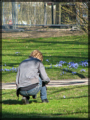 Bild från fotosafari bild från fotosafari