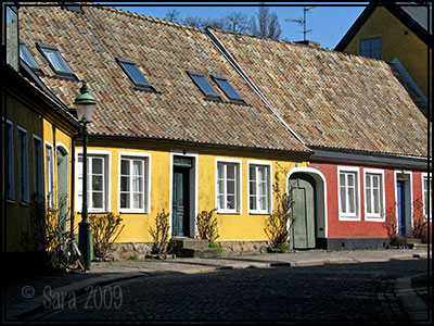 Bild från fotosafari Bild från fotosafari