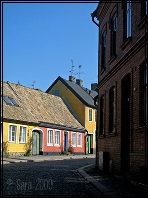 Bild från fotosafari Bild från fotosafari