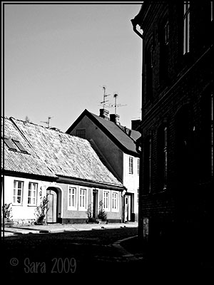 Bild från fotosafari Bild från fotosafari
