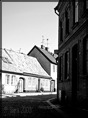 Bild från fotosafari Bild från fotosafari