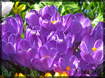 Bild från fotosafari Bild från fotosafari
